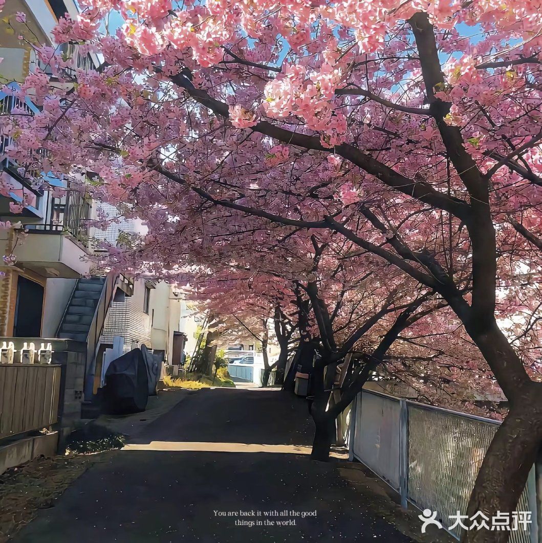 今天外卖吃什么 吃这些