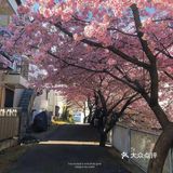 今天外卖吃什么 吃这些