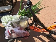 菜-人民防洪胜利纪念塔