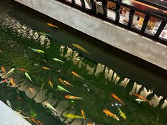 -龙悦湾酒家·八阵鱼生·渔人码头店