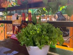 火炉旺生菜-火炉旺烤肉啤酒屋(沈北创始店)
