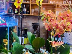 -Rabbit Cafe私房西餐甜点咖啡(栖霞路店)