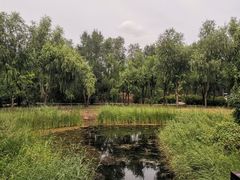 -群力丁香公园