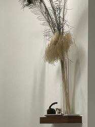 -美格丝M.G.S Hair Salon