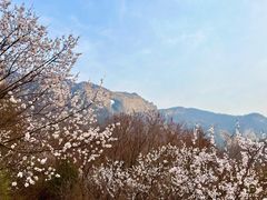 -北京密云天门山风景区