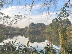 -西溪国家湿地公园