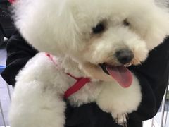 -佳雯宠物医院(四明中路分院)