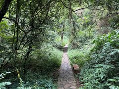 -普者黑风景区-青龙山