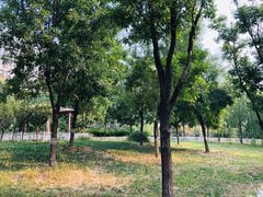 -回龙观体育文化公园