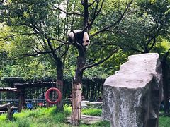 -宁波野生动物园