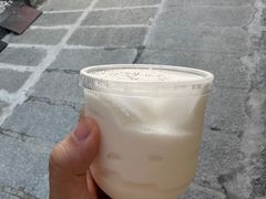 -洪馨椰子