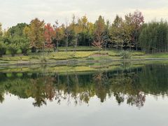 -上海共青森林公园