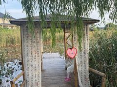 -杭州湾海上花田景区