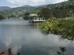 -庐山风景区花径公园