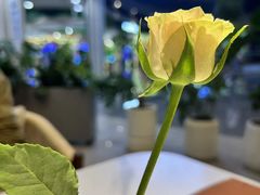 -克比叔叔印度餐厅Kebabs on the Grille(永康路分店)