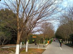 -凤凰沟景区