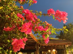 -海兰云天度假区温泉