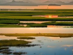 -鄱阳湖国家湿地公园