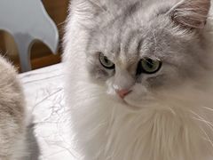 -听TA说宠咖·宠物生活馆(天韵水岸店)