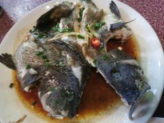 清蒸黑雕鱼-星奇缘·海鲜餐厅(东山美食地标店)