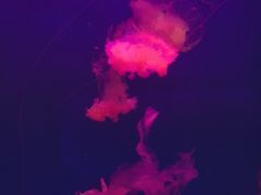 -多彩贵州城极地海洋世界