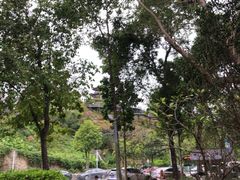 -白石龙音乐公园