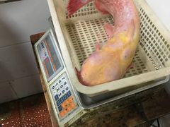 -都江堰石锅鱼