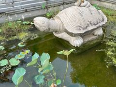 -水濂山森林公园