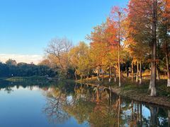 -西溪国家湿地公园