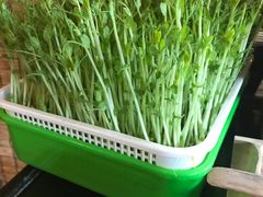 -番食园鲜食火锅(高新店)