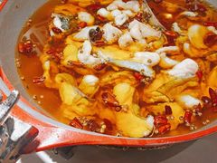 -雲蜀龙阁·金牌水煮鱼(方庄店)