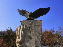 -北京鹫峰国家森林公园