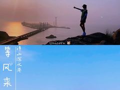 -洋山深水港