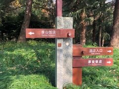 -逸廊大堂吧-下午茶·简餐-千岛湖自由洲际殿