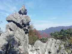 -千岛湖石林