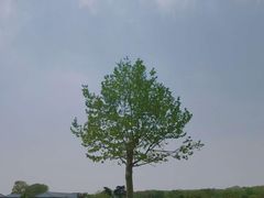 -钟山体育运动公园