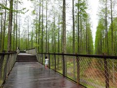 -黄海国家森林公园