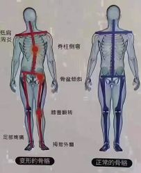 -卡莫瑜伽·普拉提