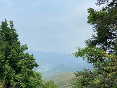 -莫干山风景区