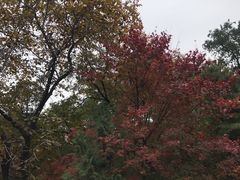 -香山公园-东宫门售票处