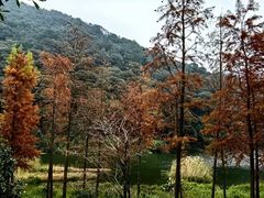 -广州市石门国家森林公园