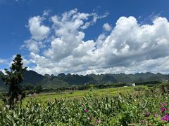 -万峰林风景区