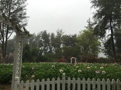 -玫瑰海岸文化旅游度假区