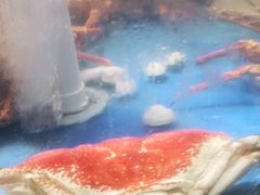 -顺峰(农展馆店)