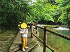 -黎坪国家森林公园