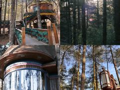 -洛阳白云山景区