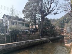 -雅安上里古镇