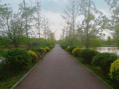 -白鹭湾湿地公园