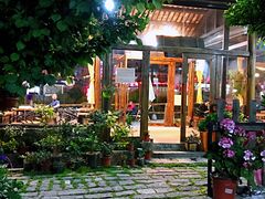 -马帮菜馆·美味野生菌