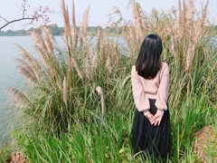 -东湖落雁景区